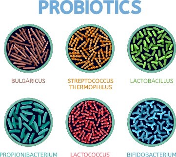 Bacterias saludables