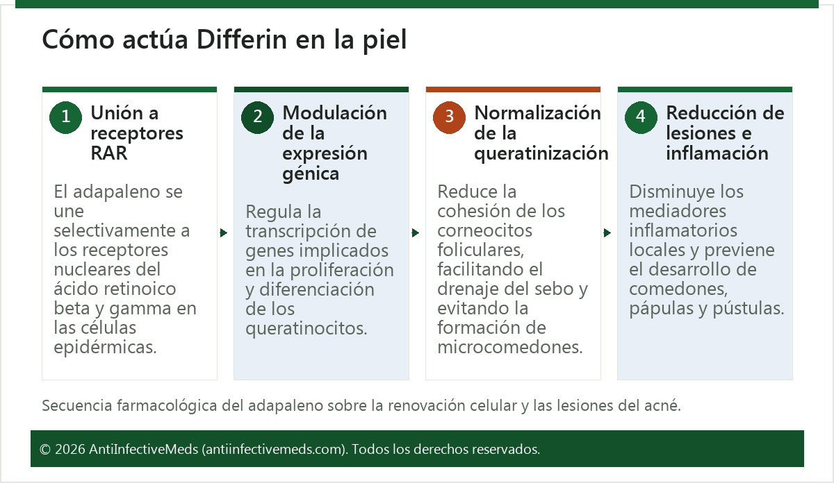 Cómo actúa Differin en la piel
