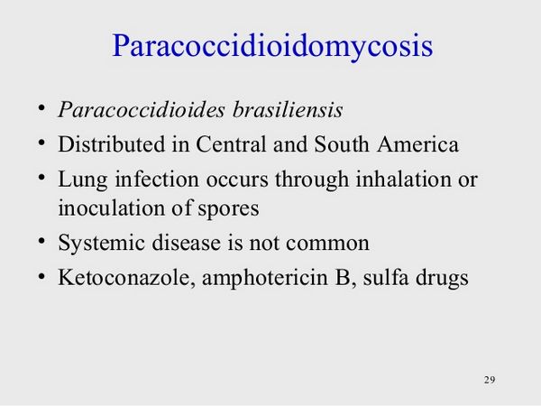 Ketoconazol Paracoccidioidomicosis